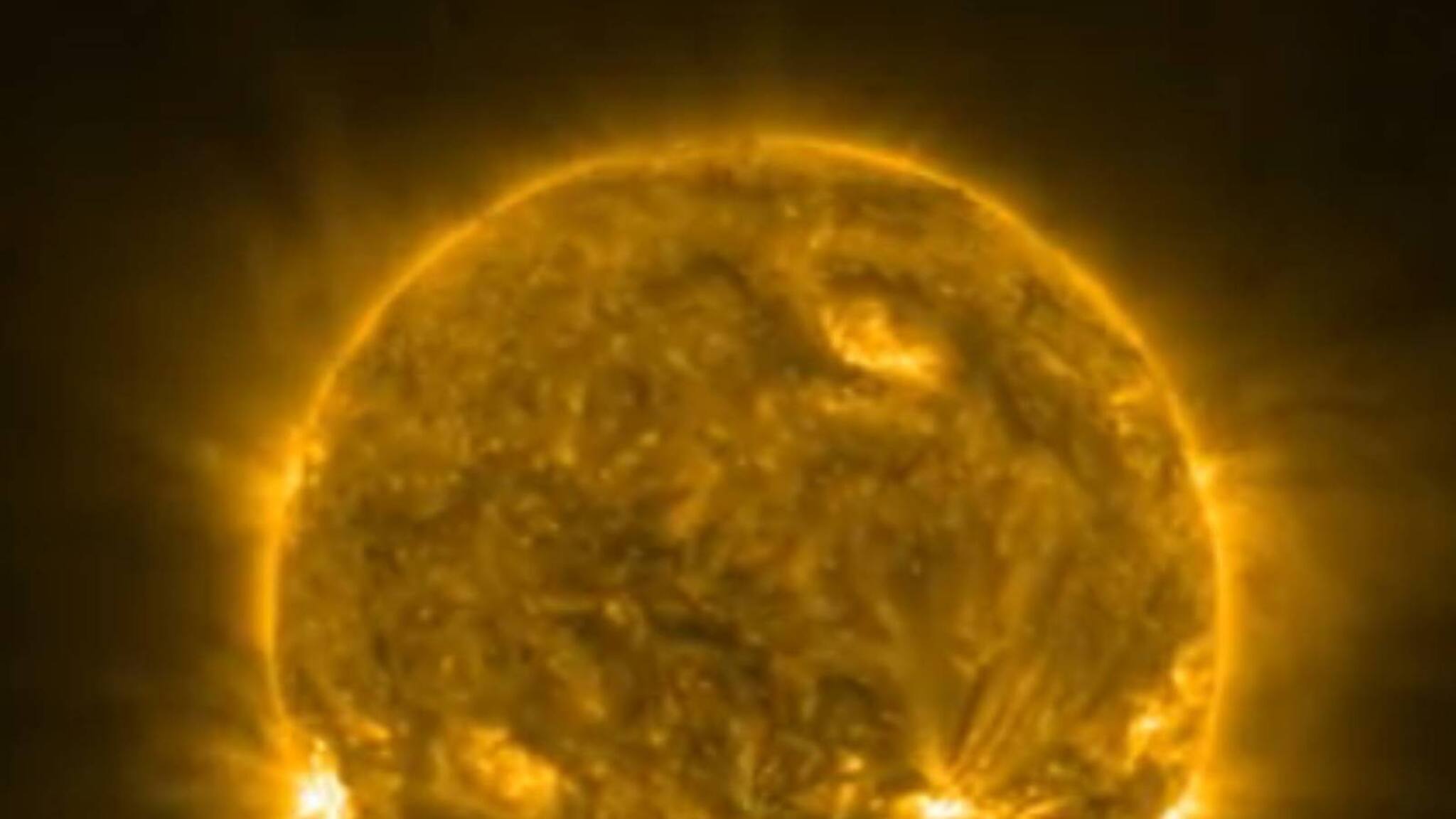 সূর্যের গায়ে সাপ! সোলার স্নেকের এই ভিডিও তোলপাড় ফেলে দিল বিজ্ঞানী মহলে