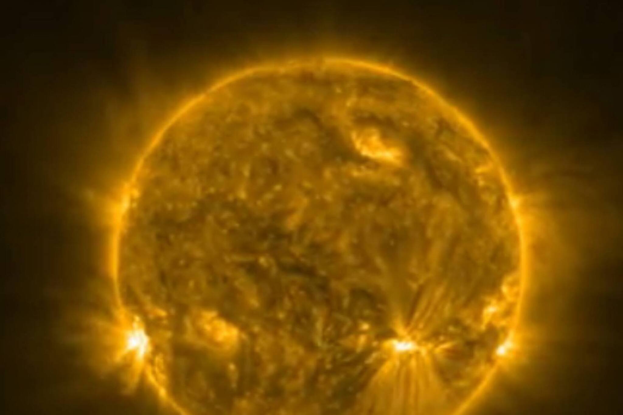 সূর্যের গায়ে সাপ! সোলার স্নেকের এই ভিডিও তোলপাড় ফেলে দিল বিজ্ঞানী মহলে, দেখুন