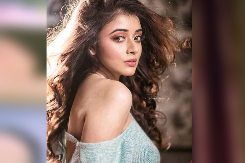 বারবার এমনই বিভিন্ন অন্তর্দ্বন্দ্বের শিকার হয়েছেন শ্রীপর্ণা। দু'বছর পর্দা থেকে দূরে ছিলেন তিনি। রাস্তাঘাটে লোকজন তাঁকে সরাসরি প্রশ্ন করতেন, ''কী কাজ পাচ্ছিস না নাকি?'' সে সবও অপমান সহ্য করতে হয় তাঁকে।