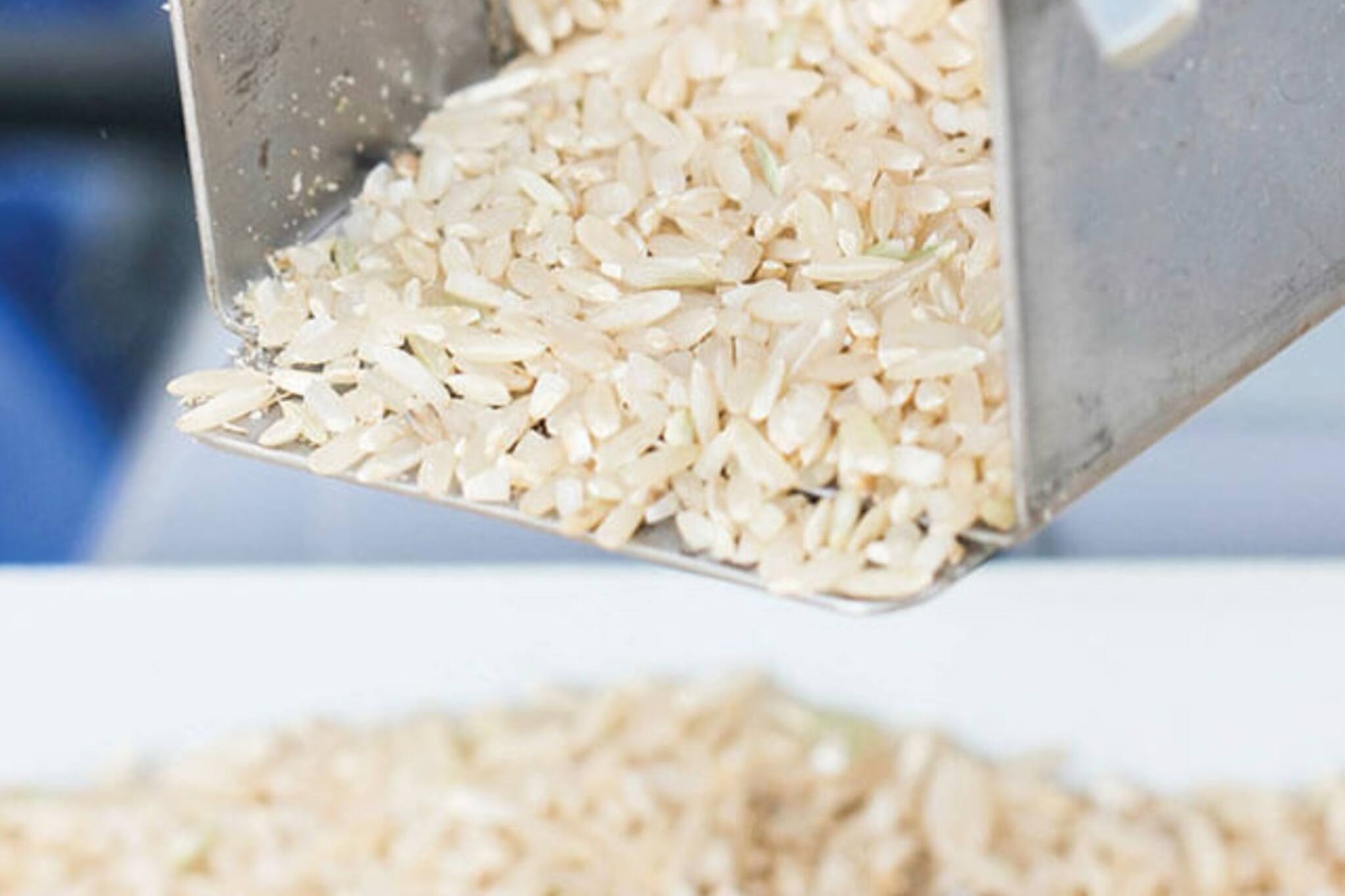 এবার ভাতেও পুষ্টিগুণ, নতুন প্রক্রিয়ায় চাল উৎপাদন জেলার রাইস মিলে, কীভাবে সরবরাহ