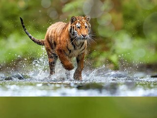 প্রতীকী ছবি
