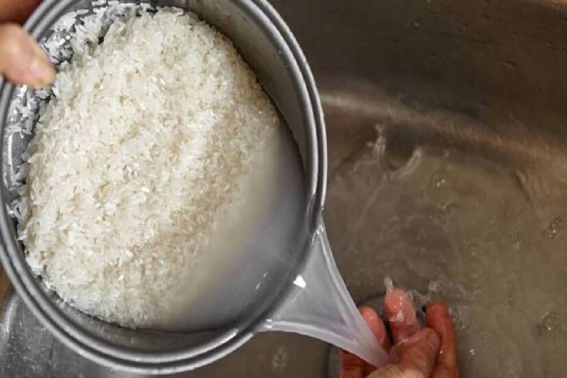 রাইস ওয়াটারও চুলের জন্য ভাল বলে মত ডিম্পলের৷ তার জন্য চুলে ও স্ক্যাল্পে রাইস ওয়াটার লাগিয়ে অপেক্ষা করতে হবে ২০ মিনিট৷ তার পর উষ্ণ জলে ধুয়ে নিতে হবে৷ সপ্তাহে এক বার করলেও চুলের ঔজ্বল্য আসবে চোখে পড়ার মতো৷