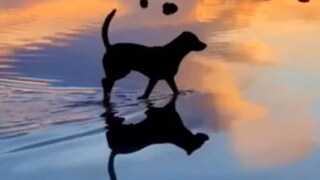 প্রতীকী ছবি প্রতীকী ছবি