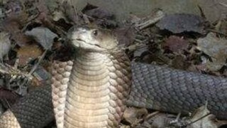 প্রতীকী ছবি প্রতীকী ছবি