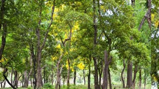 সরকারি আয় বৃদ্ধির লক্ষ্যে আগামী বছরের প্রথমার্ধেই দফায় দফায় এই উদ্যোগের বাস্তবায়ন শুরু করা হবে