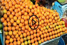 কমলালেবুর অনেক গুণ, শীতে একদিনও মিস করবেন, জানুন নানা উপকারিতা কমলালেবুর অনেক গুণ, শীতে একদিনও মিস করবেন, জানুন নানা উপকারিতা