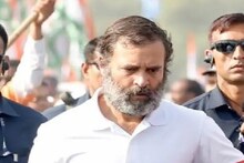দেখতে সাদ্দাম হুসেনের মতো লাগছে! রাহুলকে তীব্র কটাক্ষ হিমন্ত বিশ্বশর্মার