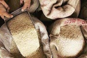 রেশন প্রাপকদের জন্য বাম্পার খবর! Modi সরকারের বিরাট সিদ্ধান্ত