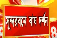 নদী সাঁতরে রাজকীয় মেজাজে অন্য প্রান্তে পৌছোল বাঘ মামা, বিরল দৃশ্য দ্বীপে নদী সাঁতরে রাজকীয় মেজাজে অন্য প্রান্তে পৌছোল বাঘ মামা, বিরল দৃশ্য দ্বীপে