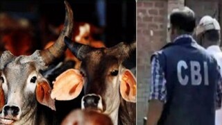 সিবিআইয়ের নজরে বীরভূমের একাধিক ব্যবসায়ীর কর্মচারীদের অ্যাকাউন্ট