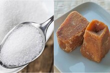 চিনি না কি গুড়? দ্রুত ওজন কমবে কী দিয়ে, জানুন