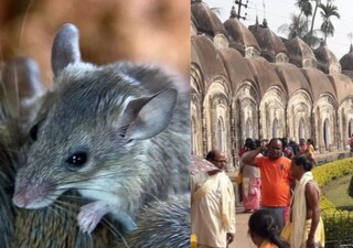 কালনায় আচমকা অচল 'লাইট অ্যান্ড সাইট