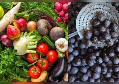 দুর্দান্ত উদ্যোগ পঞ্চায়েত দফতরের দুর্দান্ত উদ্যোগ পঞ্চায়েত দফতরের