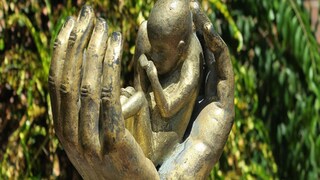 allegation of doing forceful abortion of a pregnant woman- Photo- Representative allegation of doing forceful abortion of a pregnant woman- Photo- Representative