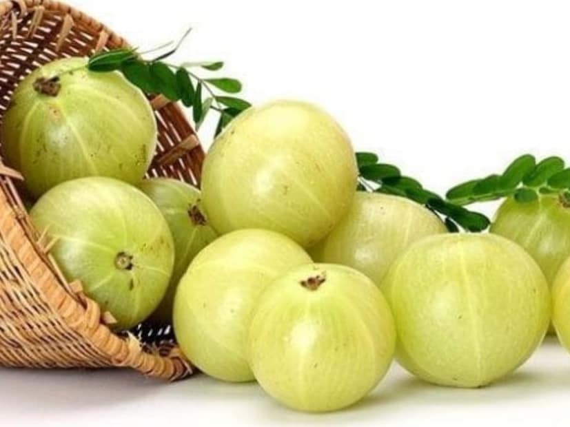 আমলকীতে আছে অ্যান্টিঅক্সিডেন্ট, ভিটামিন সি, বিটা-ক্যারোটিন, গ্যালিক অ্যাসিড। যা রোগ প্রতিরোধ ক্ষমতা বাড়ানোর পাশাপাশি স্ট্রেস দূর করে এবং ত্বক ও চুলকে ক্ষতির হাত থেকে রক্ষা করে।