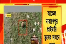 প্রাইমারি স্কুলের মাঠে ৩টি বোমা উদ্ধারে চাঞ্চল্য, দেখুন