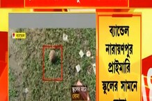 প্রাইমারি স্কুলের মাঠে ৩টি বোমা উদ্ধারে চাঞ্চল্য, দেখুন প্রাইমারি স্কুলের মাঠে ৩টি বোমা উদ্ধারে চাঞ্চল্য, দেখুন