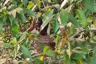 সিবিআই দফতরে যাওয়ার পথে...