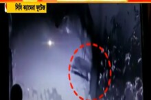 শহরের মধ্যে ঘুরে বেড়াচ্ছে চিতাবাঘ! ধূপগুড়িতে চাঞ্চল্য