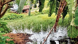 প্রতীকী ছবি। 