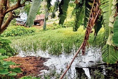 প্রতীকী ছবি। 