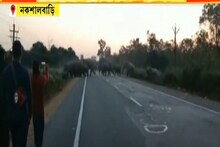 নকশালবাড়ি থেকে বাগডোগরা জঙ্গলে ফিরল হাতির দল, দেখুন সেই দৃশ্য