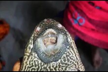 শখে মাছ ধরতে গিয়ে শান্তিপুরের তাঁতির সঙ্গে এ কী ঘটল! গোটা এলাকায় চাঞ্চল্য শখে মাছ ধরতে গিয়ে শান্তিপুরের তাঁতির সঙ্গে এ কী ঘটল! গোটা এলাকায় চাঞ্চল্য
