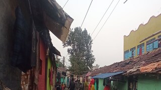 ফের বোমাবাজি জগদ্দলে ফের বোমাবাজি জগদ্দলে