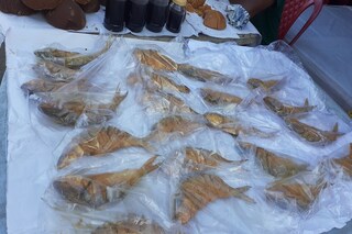 পদ্মার ইলিশ নিয়ে শোরগোল
