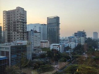 আরও নামল পারদ, চলতি সপ্তাহে জমিয়ে শীতের পর্ব
