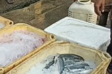 ক্রেতা নেই, বাজারে পড়ে থাকল লাখ লাখ টাকার মাছ! ক্রেতা নেই, বাজারে পড়ে থাকল লাখ লাখ টাকার মাছ!