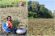 পুরুলিয়ায় পানিফলের চাহিদা ভালো রয়েছে, লাভের আসা করছে চাষীরা! পুরুলিয়ায় পানিফলের চাহিদা ভালো রয়েছে, লাভের আসা করছে চাষীরা!