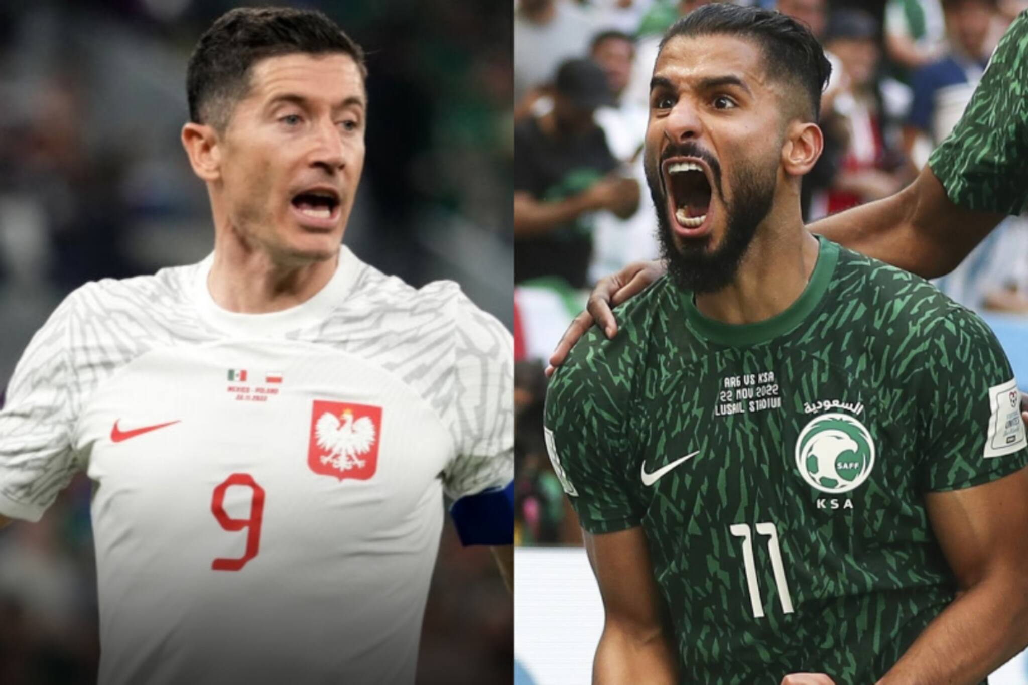 আর্জেন্টিনাকে হারানোর পর সৌদির মিশন পোল্যান্ড, জয়ে ফেরার লক্ষ্যে লেওনডস্কিরা