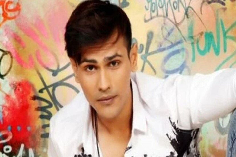 বড়ি দূর সে আয়ে হে. লওট আও তৃষা, বাল কৃষ্ণ নামের নামের সিরিয়াল থেকে নিজের জায়গায় বিনোদন ইন্ডাস্ট্রিতে জায়গা করে নিয়েছিলেন৷ পদ্মাবতে তিনি বরধনের চরিত্রে অভিনয় করেন৷ নিজের সংঘর্ষপূর্ণ কেরিয়ারের গল্প বলেন৷