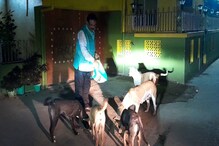 রাজনীতির বাইরে অন্য ছবি! পশুপ্রেমে কম যান না জয়নগরের বিধায়ক বিশ্বনাথ দাস রাজনীতির বাইরে অন্য ছবি! পশুপ্রেমে কম যান না জয়নগরের বিধায়ক বিশ্বনাথ দাস
