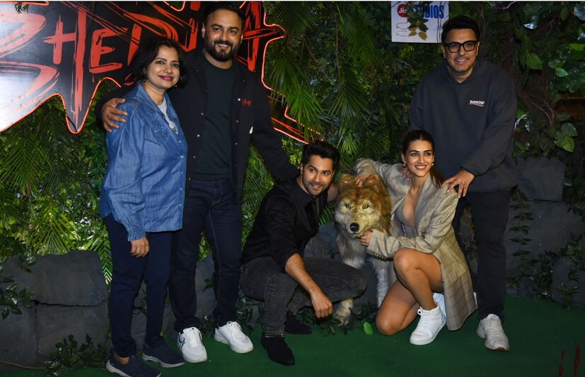 'ভেড়িয়া'র স্ক্রিনিংয়ে বরুণ  ধাওয়ান, কৃতি শ্যানন, অমর কৌশিক, দীনেশ ভিজন