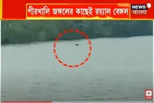 সুন্দরবনে ফের দেখা গেল বাঘ, পীরখালি জঙ্গলের কাছেই রয়্যাল বেঙ্গল সুন্দরবনে ফের দেখা গেল বাঘ, পীরখালি জঙ্গলের কাছেই রয়্যাল বেঙ্গল