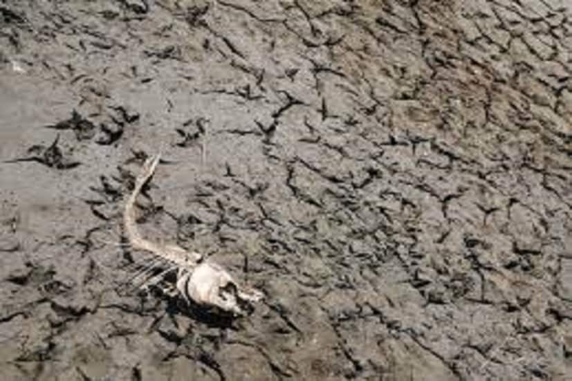 চতুর্থবার পৃথিবীতে মহাপ্রলয় বা মৃত্যুর তাণ্ডব ২১ বছর আগে সমস্যা সৃষ্টি করেছিল ৷ এইবারে লাগাতার মহাপ্রলয় জ্বালামুখী পৃথিবীতে কোন কোন স্তরে প্রস্তুত ছিল ৷ ডায়নাসোর ও কুমিরের বিশেষ প্রজাতি নিজেদের রক্ষা করা হয়েছিল ৷ প্রতীকী ছবি ৷