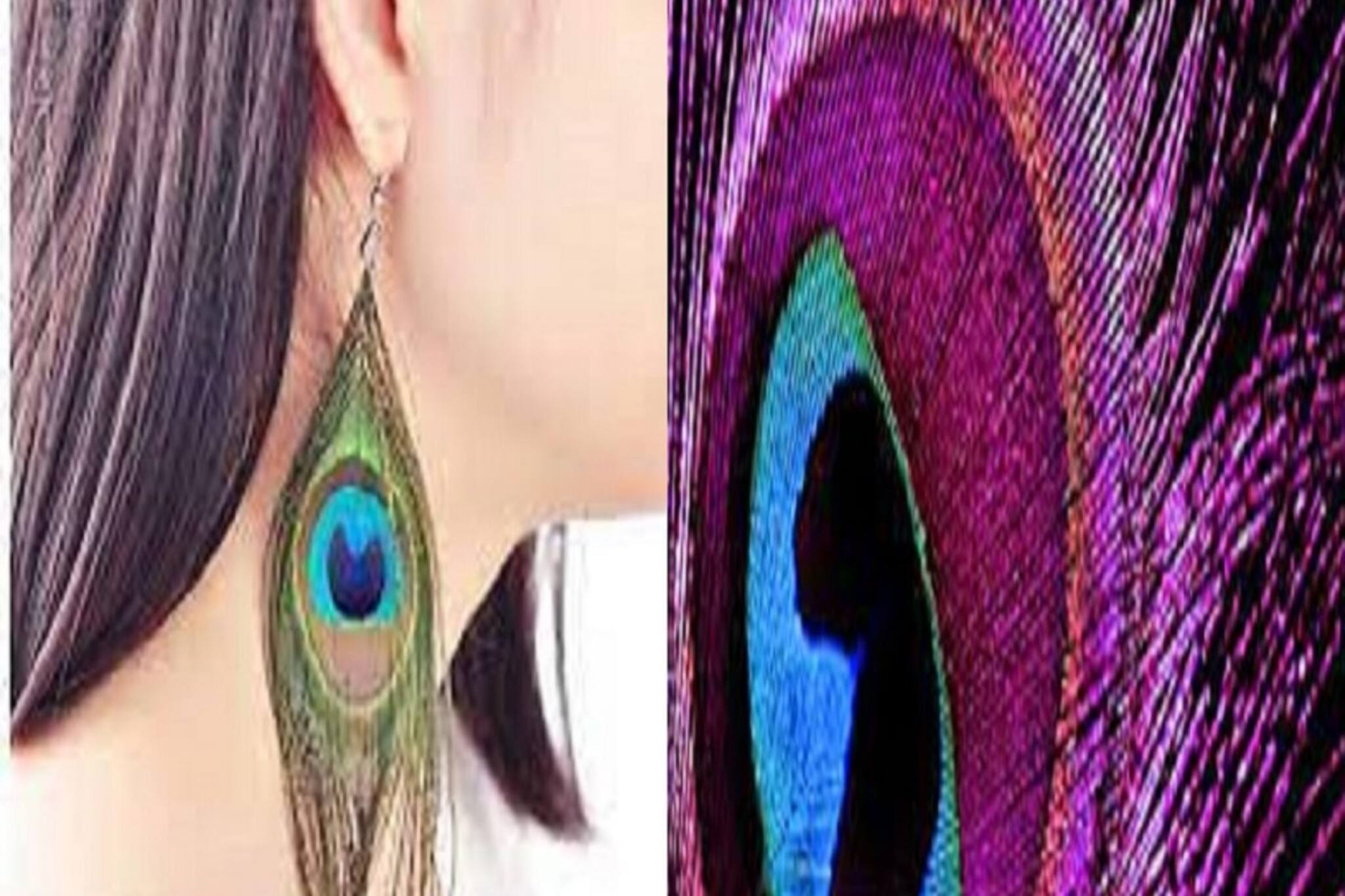 বাড়ির এই জায়গাগুলিতে ময়ূরের পালক রাখুন, প্রেম-টাকা-পয়সা আসবে কাটবে গ্রহদোষও