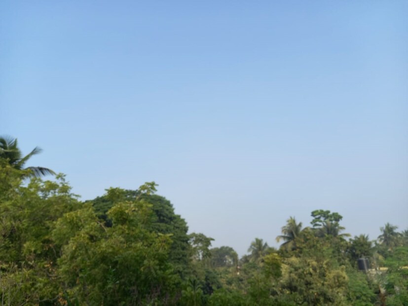 দক্ষিণ-পূর্ব বঙ্গোপসাগরের নিম্নচাপ আজ গভীর নিম্নচাপে পরিণত হবে। আজ, বুধবার সন্ধ্যার দিকে দক্ষিণ-পশ্চিম বঙ্গোপসাগরে পৌঁছে সেটি ঘূর্ণিঝড়ে পরিণত হতে পারে।  আবহাওয়াবিদরা মনে করছেন, তামিলনাড়ু ও পন্ডিচেরি উপকূলে এটি শুক্রবার সকালে পৌঁছে গেলেও স্থলভাগ আছড়ে নাও পড়তে পারে। বরং উপকূলের কাছাকাছি এটি শক্তি হারাতে পারে। এর প্রভাব পড়বে অন্ধ্রপ্রদেশ উপকূলেও। স্থলভাগের কাছাকাছি এর গতিবেগ প্রতি ঘণ্টায় সর্বোচ্চ ৯০ থেকে ১০০ কিলোমিটার হতে পারে বলে অনুমান আবহাওয়াবিদদের।