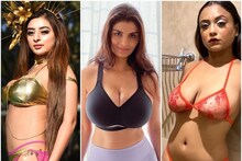 সাঁতারের পোশাকে লাস্যের জোয়ার, উপচে পড়া যৌবন, ওয়েবসিরিজের এই নায়িকারা 'বোমা'