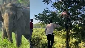 কালচিনি