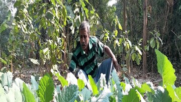 প্রতীকী