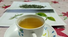 এক কেজি চা-পাতার দাম সাত হাজার টাকা! নানা রোগ মুক্তি! বাজারে মিলছে সাদা-চা!