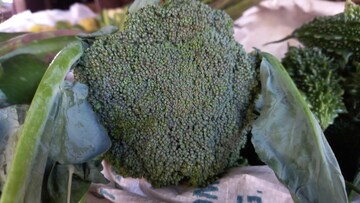 ব্রোকলি