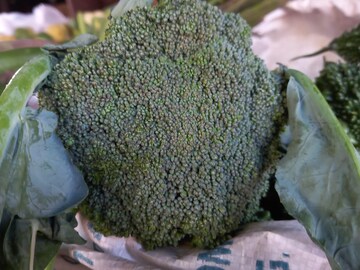 ব্রোকলি