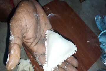 মোমো