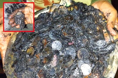 বাছাই চলছে টাকা পয়সা সোনার গয়নার