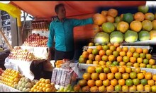 অমিল দার্জিলিংয়ের কমলালেবু! দুধের স্বাদ ঘোলে মেটাচ্ছে নাগপুরের কমলা