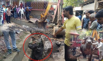 পৌরসভার